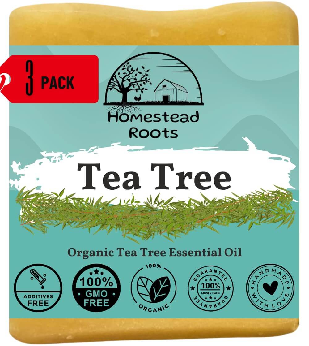 Tea tree
