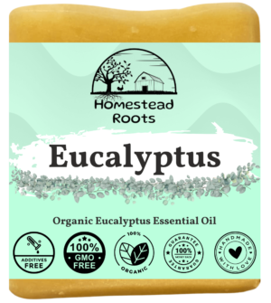 Eucalyptus